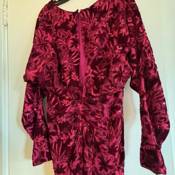 Elegant Tadashi Shoji Maxi Dress - Picture 3 of 4